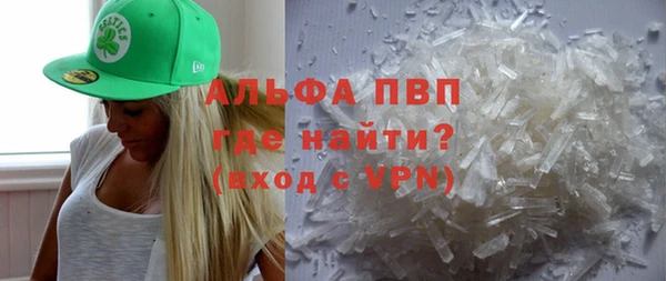 PSILOCYBIN Няндома