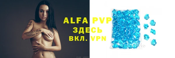 Альфа ПВП Новозыбков