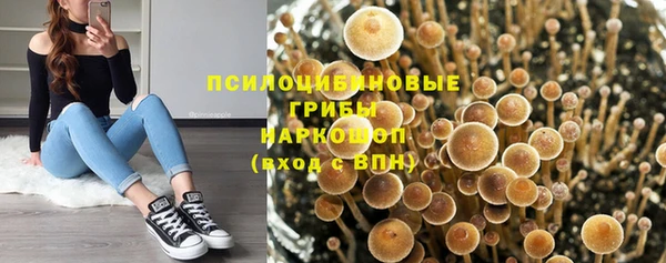 кокаин колумбия Нязепетровск