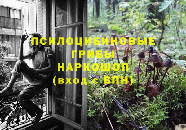 прущий лед Нягань