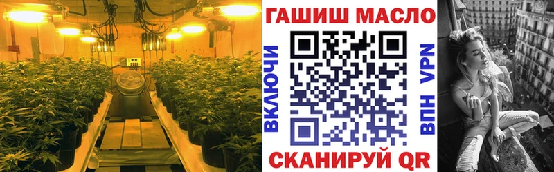 ТГК THC oil ссылка на мегу зеркало Котовск